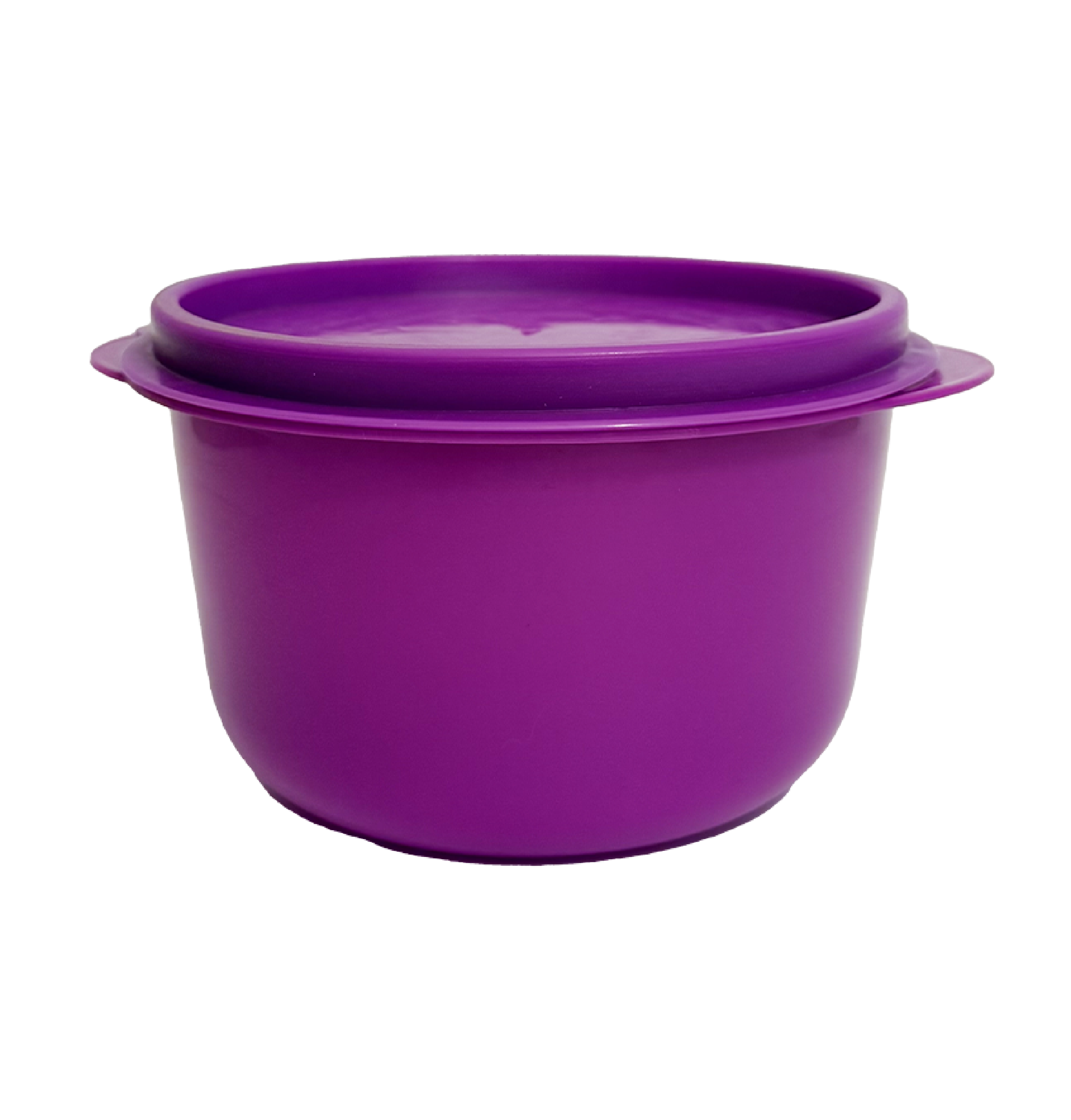 Morado Thumbnail